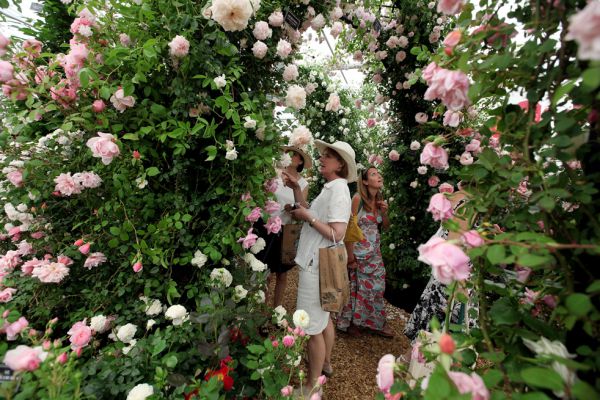 Британия приглашает всех цветоводов на выставку садовых растений